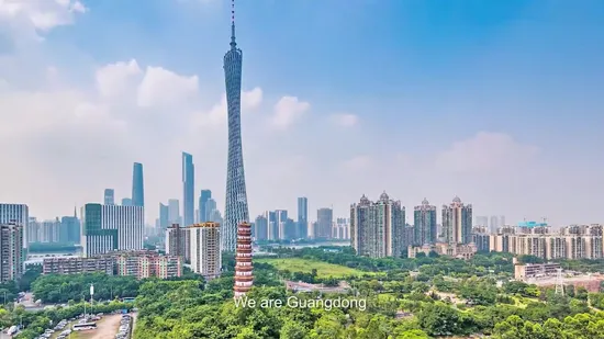 Mengfan 中国ファンまつげ ミンクまつげ プライベートラベル 偽ミンクまつげエクステンション 個人まつげエクステンション マット化粧品まつげエクステンション